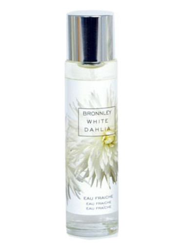 White Dahlia