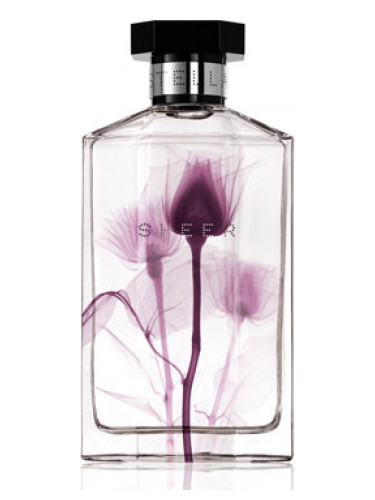 Sheer Stella 2011