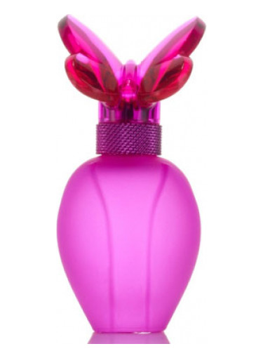 Lollipop Splash Vision of Love