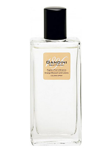 Orange Blossom and Leaf