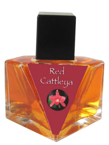Red Cattleya