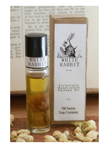 White Rabbit