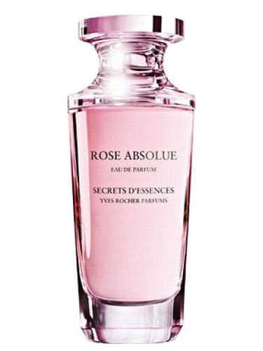 Rose Absolue