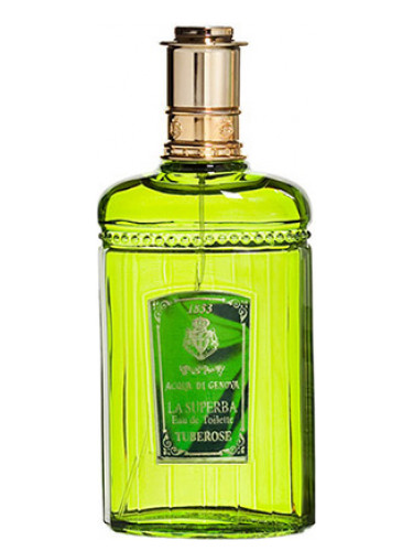 Tuberosa