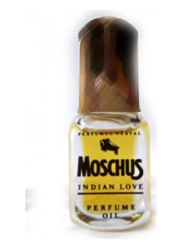 Moschus Indian Love
