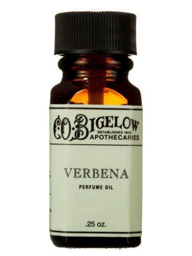 Verbena