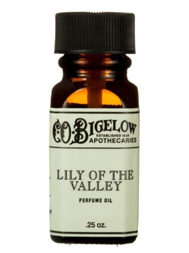 Lily Of The Valley
