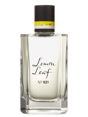 Lemon Leaf No.1821