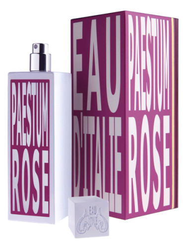 Paestum Rose