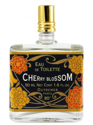 Cherry Blossom