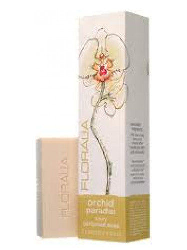 Orchid Paradisi