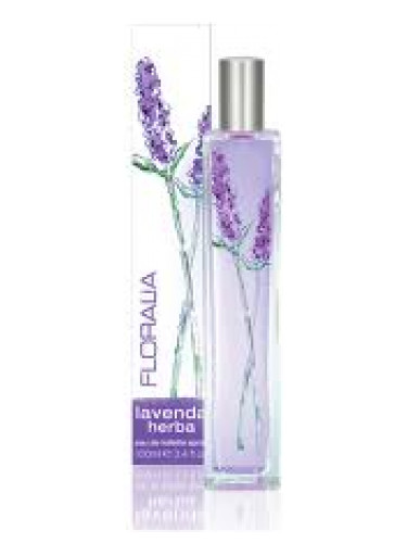 Lavenda Herba