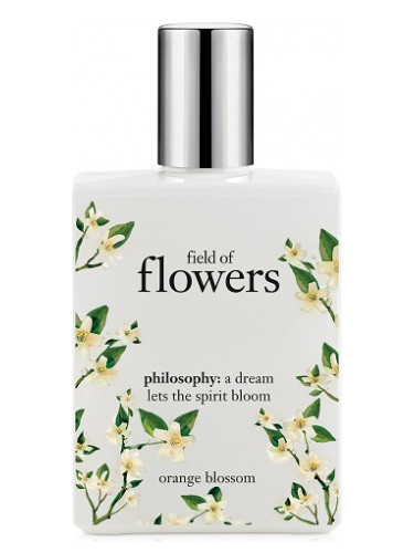 Field of Flowers Orange Blossom