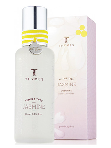 Temple Tree Jasmine