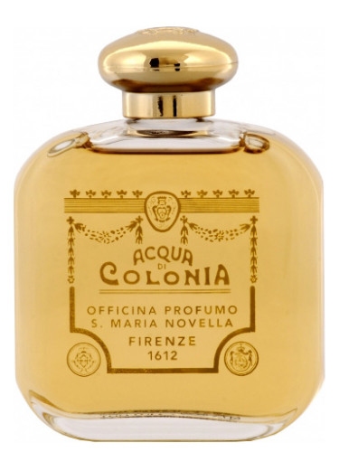 Gelsomino