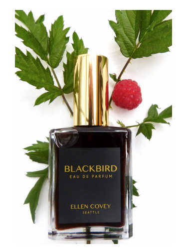 Blackbird