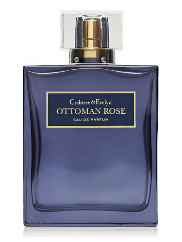 Ottoman Rose
