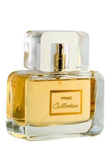 Prime Collection for Women