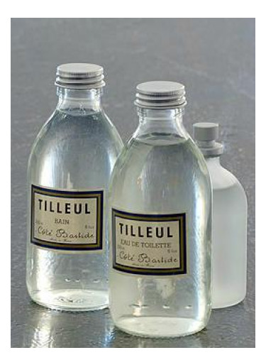 Tilleul (Lime Tree)