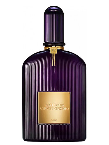 Velvet Orchid