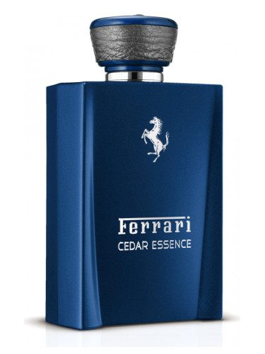 Cedar Essence