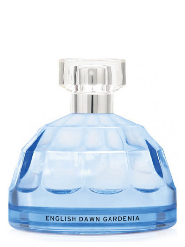 English Dawn White Gardenia