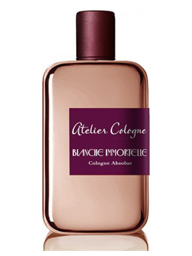 Blanche Immortelle