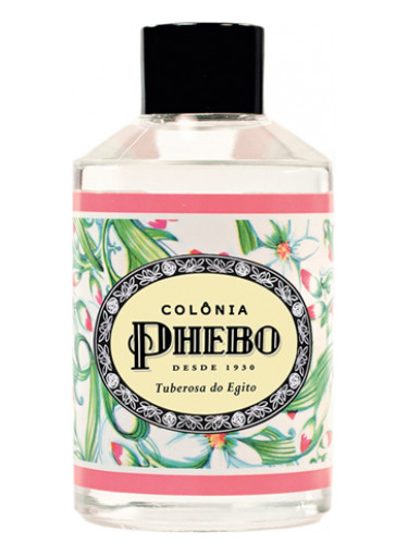 Tuberosa Do Egito