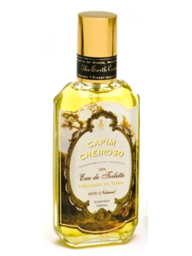 Capim Cheiroso
