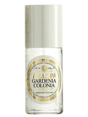 Gardenia Colonia