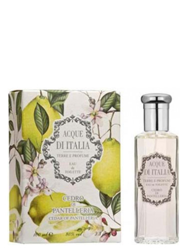 Cedro di Pantelleria