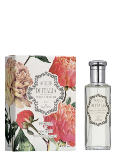 Peonia di Amalfi