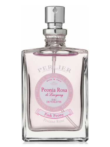 Peonia Rosa