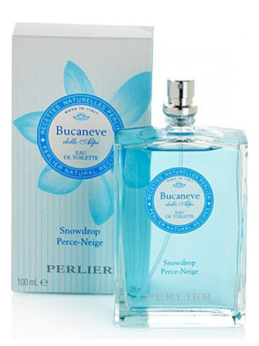 Bucaneve (Snowdrop)
