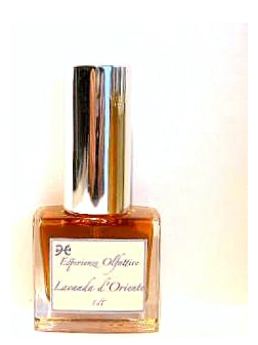 Lavanda d'Oriente