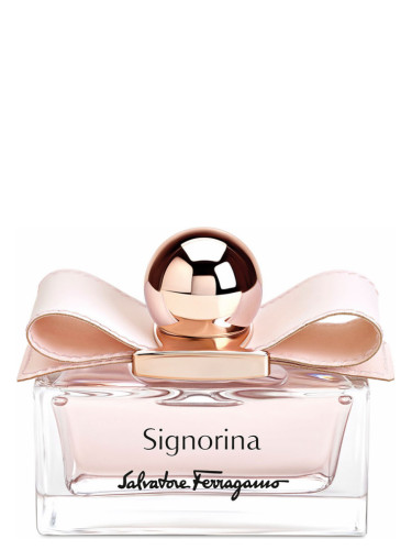 Signorina Leather Edition