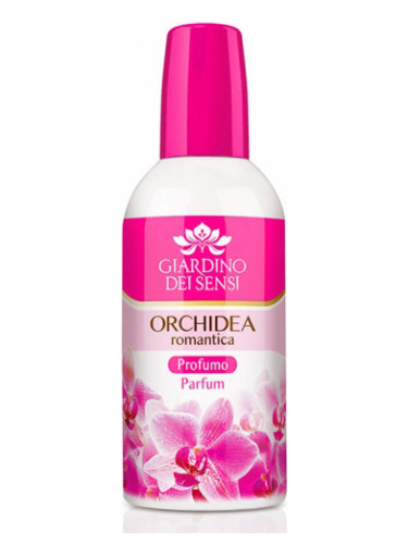 Orchidea Romantica