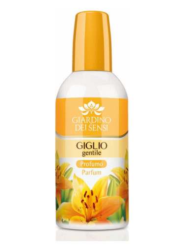 Giglio Gentile
