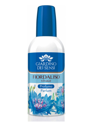 Fiordaliso Vivace