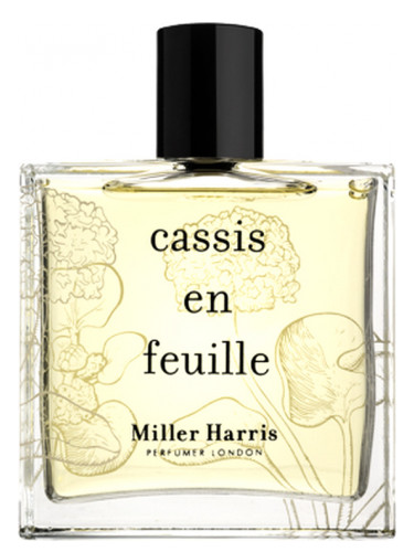 Cassis en Feuille