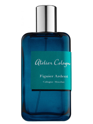 Figuier Ardent