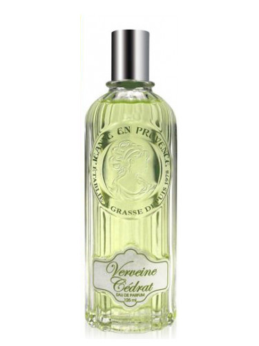 Verveine Cedrat