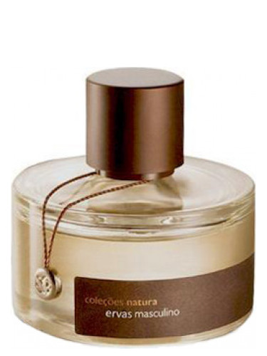 Ervas Masculino