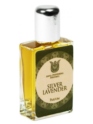 Silver Lavender