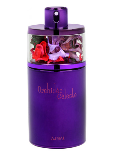 Orchidee Celeste
