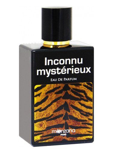 Inconnu Mysterieux