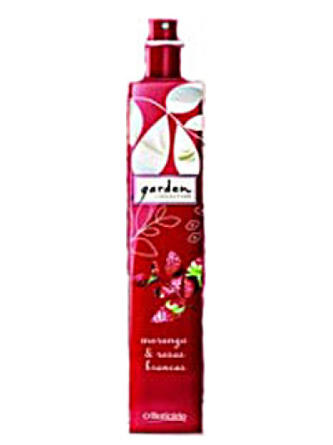 Morango e Rosas Brancas