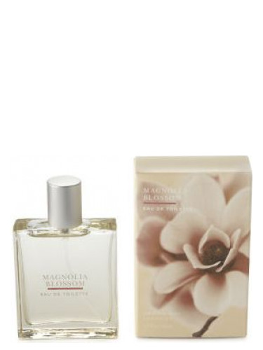 Magnolia Blossom