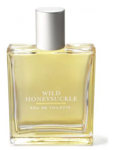 Wild Honeysuckle