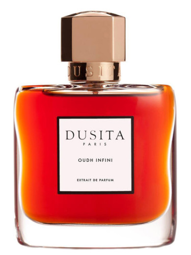 Oudh Infini